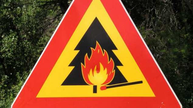 Гидрометцентр предупредил о высокой пожарной опасности в Киеве