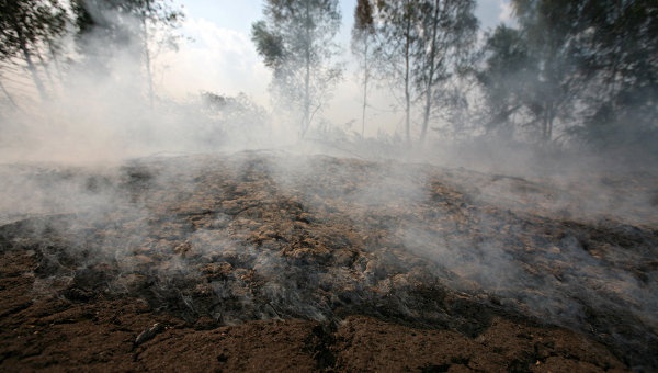 Опять на Киевщине горят торфяники
