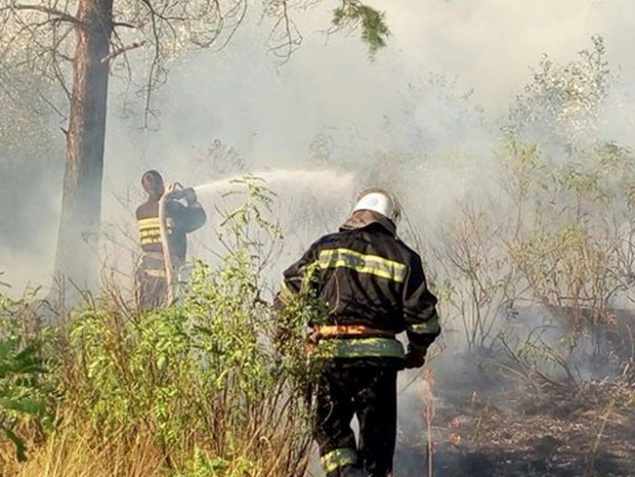 Пожар на Трухановом острове в Киеве потушили