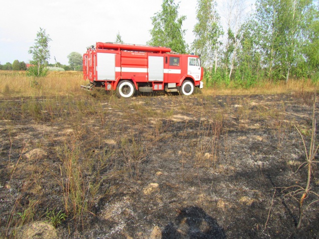 В Бородянском районе Киевщины горели трава и торфянники (фото)