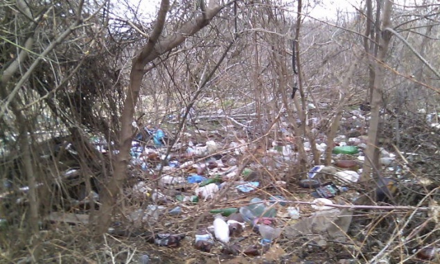 Устроив свалку под Борисполем, директор предприятия нанес ущерб экологии на 76 млн гривен