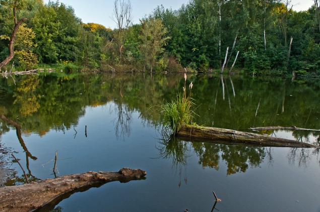 Бюджетная комиссия Киевсовета поддержала идею создания парка в Совках