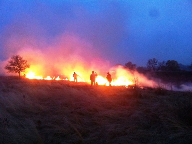На Киевщине продолжаются пожары травяного настила