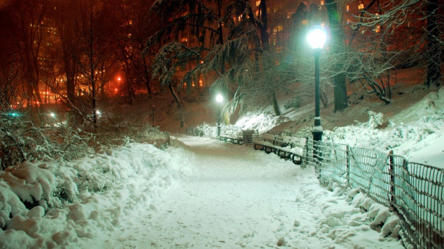 В Киеве в Голосеевском парке восстанавливают сети наружного освещения
