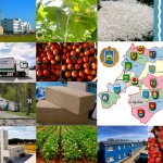 Сезон инвестиций: актуальные предложения для бизнеса в Броварском районе