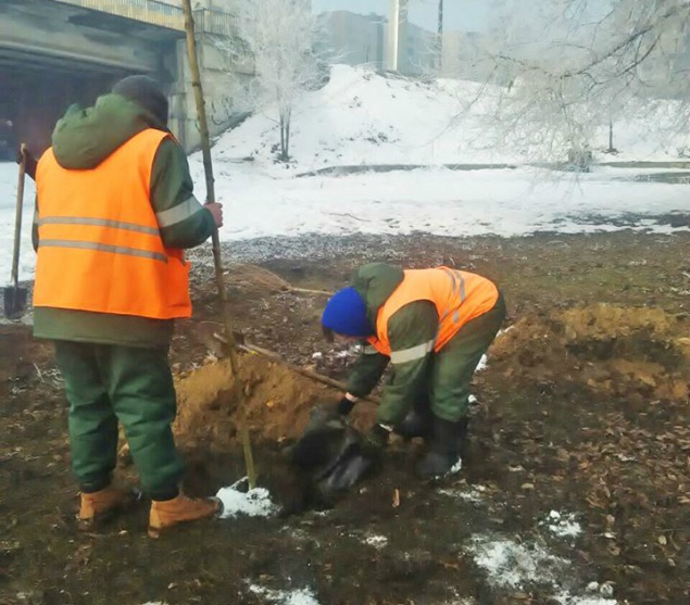 Коммунальщики продолжают озеленять Киев