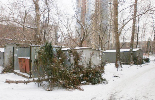В Киеве открыли пункты утилизации новогодних елок