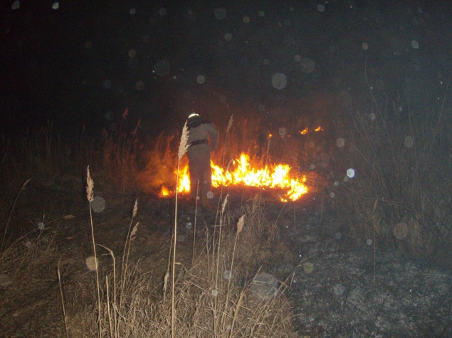 Из-за неосторожности граждан на Киевщине продолжает гореть сухостой