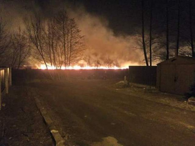 За сутки на Киевщине сгорело 46 га сухостоя