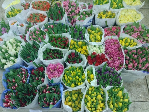 Киевский школьник ограбил цветочный магазин