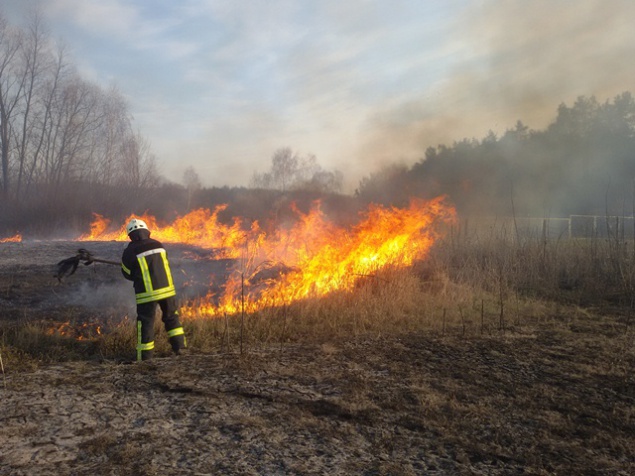 На Киевщине горит сухостой - 24 пожара за сутки (фото)