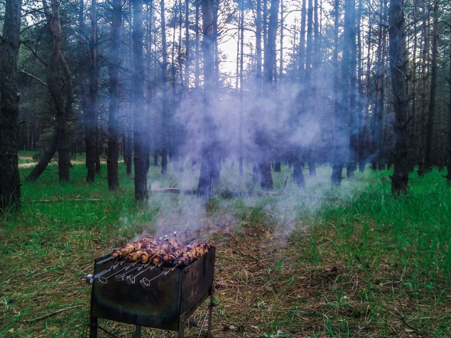 Киевские лесники и спасатели предупредили о повышенной пожароопасности в лесах, парках и скверах
