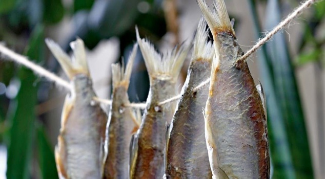 Рыбу, отравившую киевлян, поставляли в столицу из Кировоградской области