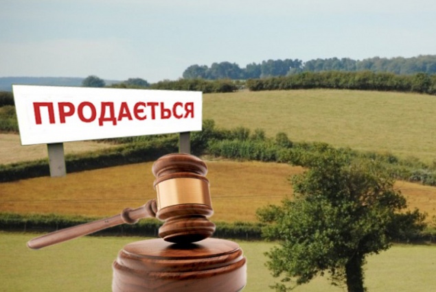 Киевские власти хотят продать почти 1 га земли на Осокорках