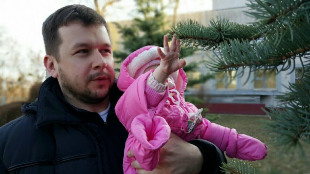 В лесах Киева высадили более 1 млн сосен