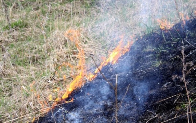Киевлян предупреждают о высокой пожароопасности