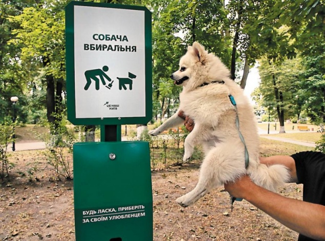 Сергей Харчук просит киевские власти растолковать понятие “собачья уборная”