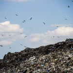 Злополучный мусорный полигон под Киевом в срок не закроют