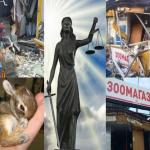 Хомячков, кроликов и шиншилл в Киеве убила слепая Фемида