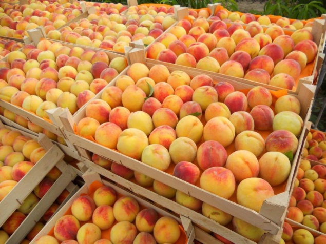 В воскресенье в 4-х районах Киева будут торговать овощами и фруктами (адреса)