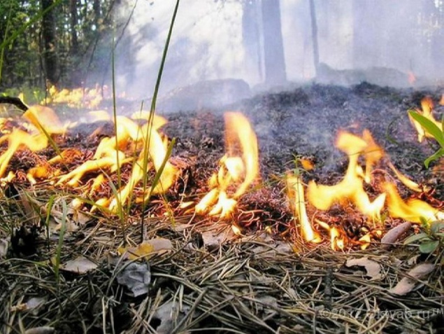 Киевлян предупреждают о высокой пожарной опасности