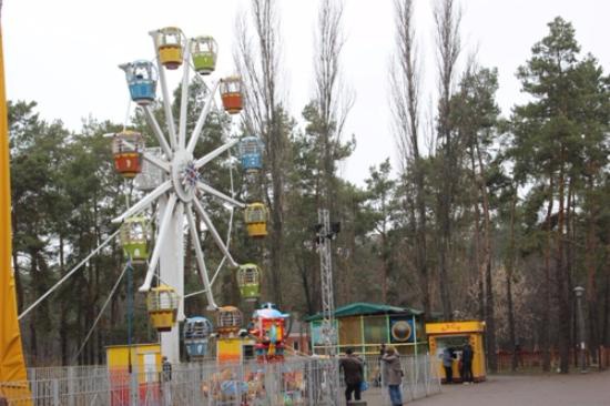 Киевский парк “Победа” планирует задорого купить “невозможную” карусель