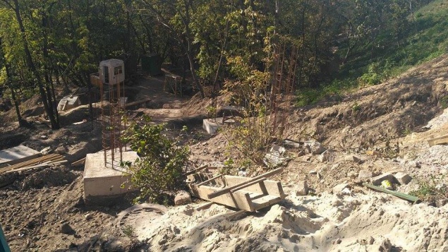 Из-за ремонта лестницы на Пейзажной аллее уничтожили десятки деревьев (фото)