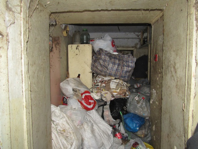 Киевлянин превратил свою квартиру в “клоповник” - соседи “засыпали” чиновников жалобами (фото)