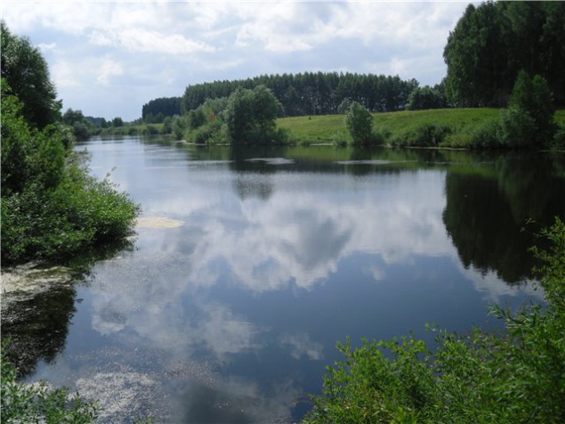 Прокуратура требует от частника вернуть земли водного фонда в Сквирском районе стоимостью 11 млн грн