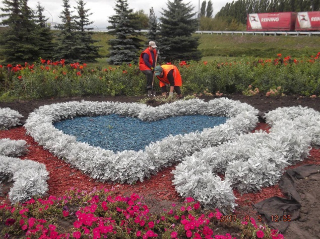 В Киеве с начала года высадили 10 млн цветов (фото)