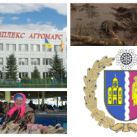 Гавриловский бунт. Жители Вышгородского района ополчились против птицефермы за экоцид
