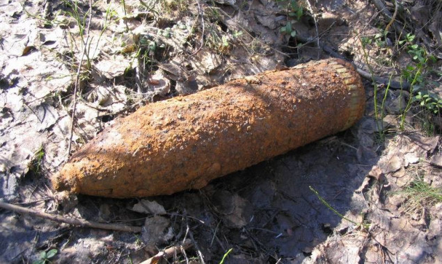 В столичном ботсаду обнаружили артиллерийский снаряд времен Второй мировой войны