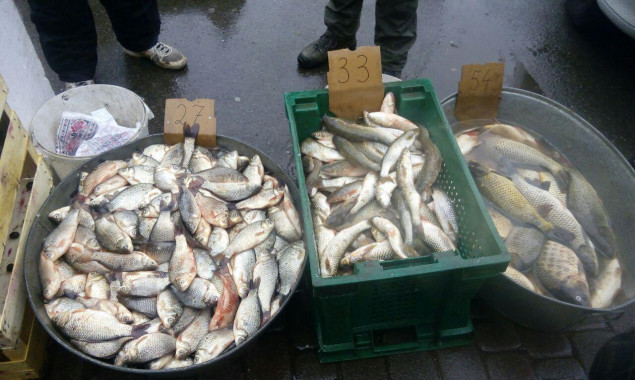 Киевский рыбоохранный патруль остановил незаконную продажу 1,8 тонн водных биоресурсов