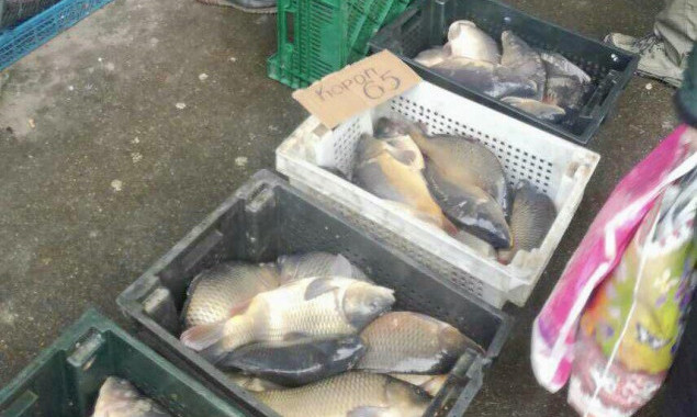 В рождественские праздники на столичных рынках обнаружили 139 килограммов незаконной рыбы