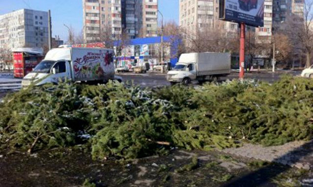 В Киеве ликвидируют “елочные кладбища” (видео)
