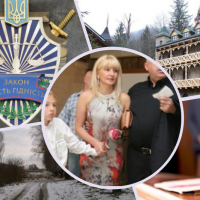 Суд оставил жене экс-генпрокурора Пискуна лесные угодья под Киевом