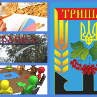 Проект “Децентрализация”: Терробщина с центром в Украинке может быть названа Трипольской