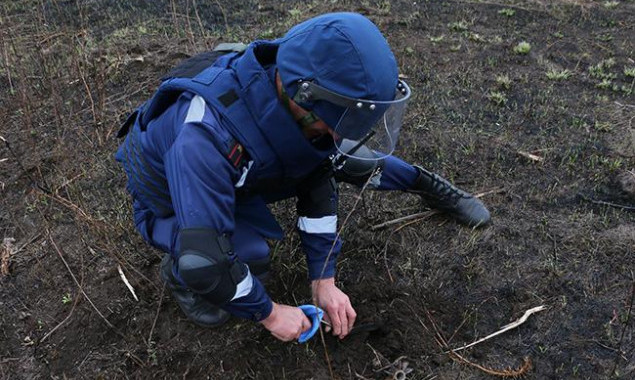 В киевском лесу обнаружен снаряд времен Второй мировой войны