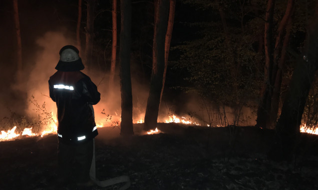 Служба спасения призывает киевлян не провоцировать пожары в экосистемах (видео)