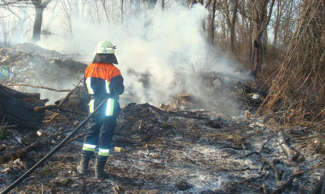 Спасатели Киевской области 89 раз за трое суток выезжали на тушение травы (фото)