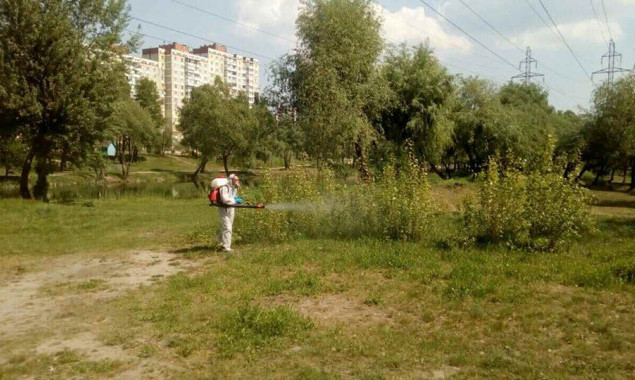 В четырех киевских парках проведена акарицидная обработка против клещей