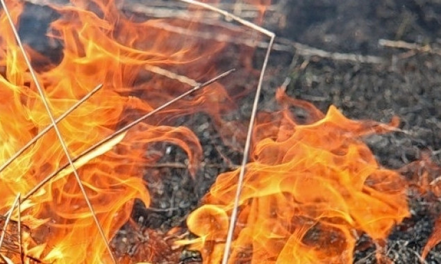 На выходных в Киеве ожидается высокий уровень пожарной опасности