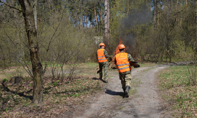 С начала года в лесопарковых зонах Киева зафиксировано 154 пожара