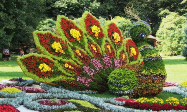 На Певческом поле в Киеве откроется цветочная выставка