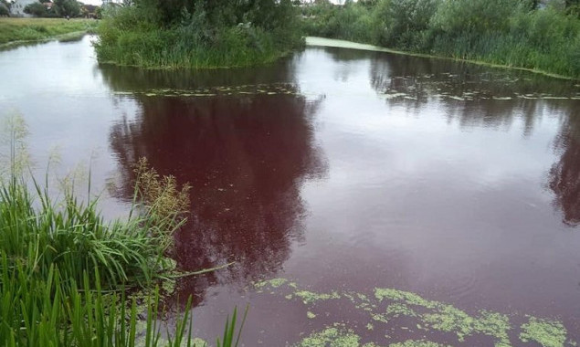 В Броварах внезапно вода в озере стала красной (фото)