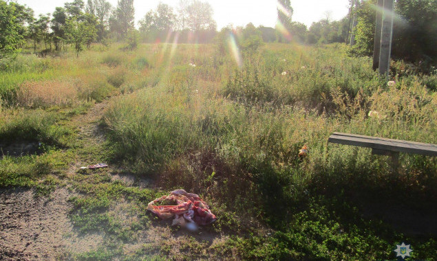 В Бориспольском районе сожитель жестоко убил возлюбленную (фото)
