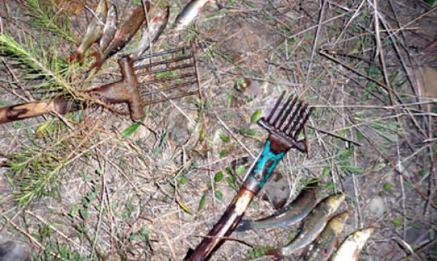 Киевский рыбоохранный патруль объявил месячник добровольной сдачи запрещенных орудий лова
