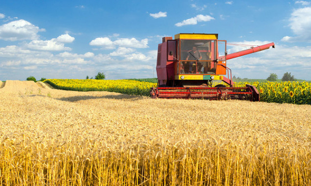 Рост урожайности на Киевщине по сравнению с прошлым годом достигает 10%