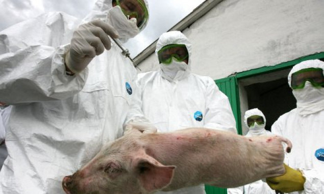 В Згуровском районе выявлен случай заболевания африканской чумой свиней