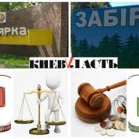 Проект “Децентрализация”: Заборский сельсовет не отдадут Боярке